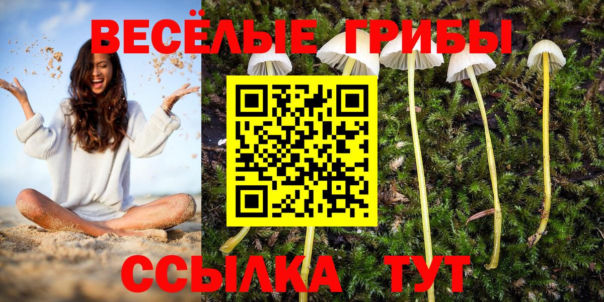 Галлюциногенные грибы MAGIC MUSHROOMS Мурино