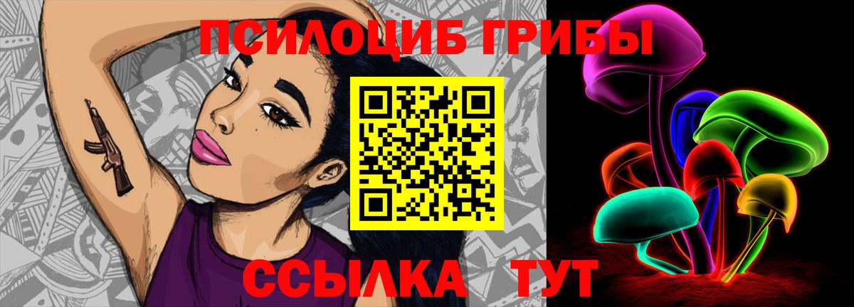 Галлюциногенные грибы MAGIC MUSHROOMS  цена наркотик  Мурино  Вход с VPN 